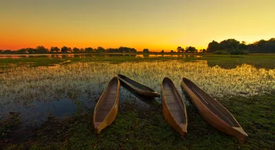 Botswana wild